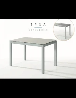 MESA EXTENSIBLE TESA